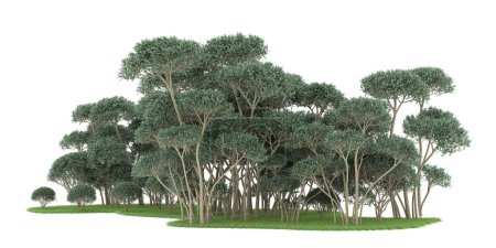 Foto de Realistic forest isolated on white background. 3d rendering - illustration - Imagen libre de derechos