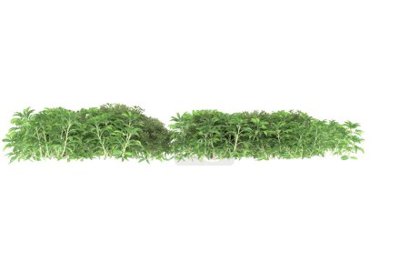 Foto de Field of grass isolated on white background. 3d rendering - illustration - Imagen libre de derechos