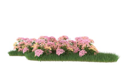 Foto de Field of grass with flowers isolated on white background. 3d rendering - illustration - Imagen libre de derechos