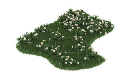 Foto de Field of grass with flowers isolated on white background. 3d rendering - illustration - Imagen libre de derechos