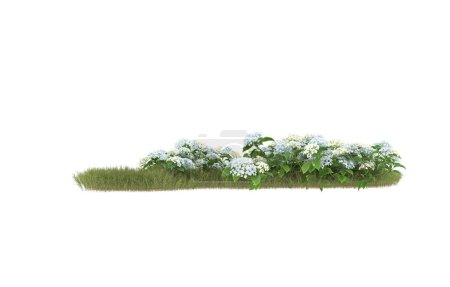 Téléchargez les photos : Field of grass with flowers isolated on white background. 3d rendering - illustration - en image libre de droit