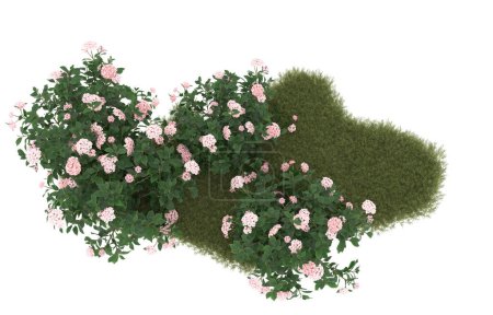 Téléchargez les photos : Field of grass with flowers isolated on white background. 3d rendering - illustration - en image libre de droit