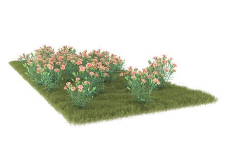 Téléchargez les photos : Field of grass isolated on white background. 3d rendering - illustration - en image libre de droit