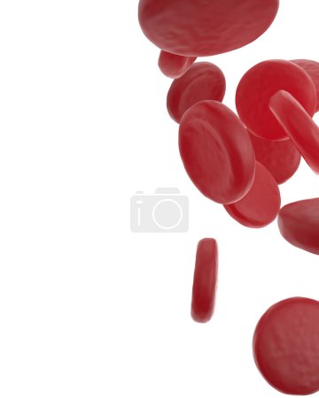 Téléchargez les photos : Globules rouges sur blanc - en image libre de droit
