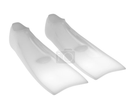 Photo for Swim fins isolated on background. 3d rendering - illustration - Royalty Free Image