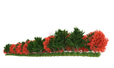 Téléchargez les photos : Érables aux feuilles vertes et rouges - en image libre de droit
