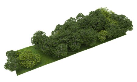 Forest isolated. Image useful for banners nd poster or photo manipulations. 3d rendering.