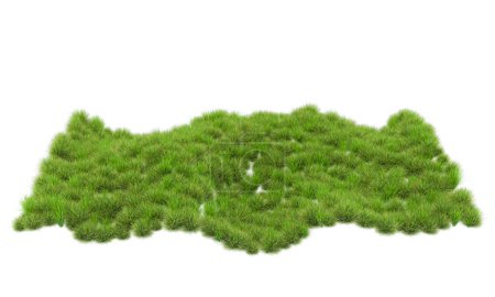 Photo for Grass isolated on white background. 3d rendering - illustration - Royalty Free Image