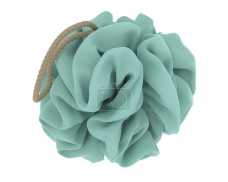 Photo for Loofah isolated on grey background. 3d rendering - illustration - Royalty Free Image