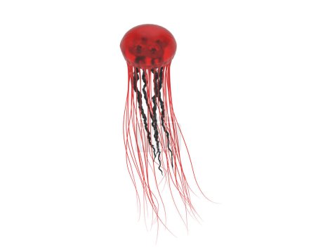 Photo for Jellyfish isolated on background. 3d rendering - illustration - Royalty Free Image