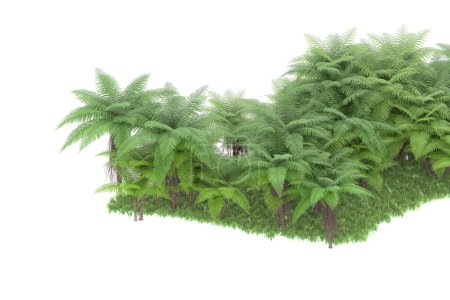 Photo for Tropical forest isolated on background. 3d rendering - illustration - Royalty Free Image