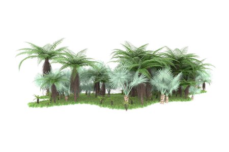 Foto de Bosque tropical aislado sobre fondo. representación 3d - ilustración - Imagen libre de derechos