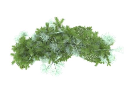 Téléchargez les photos : Concept de flore naturelle, palmiers réalistes isolés sur fond blanc pour l'espace de copie - en image libre de droit