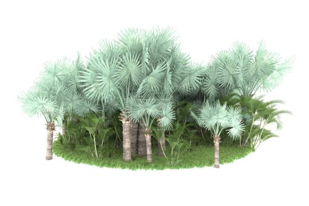 Foto de Concepto de flora natural, palmeras realistas aisladas sobre fondo blanco para espacio de copia - Imagen libre de derechos