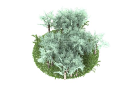 Foto de Concepto de flora natural, palmeras realistas aisladas sobre fondo blanco para espacio de copia - Imagen libre de derechos