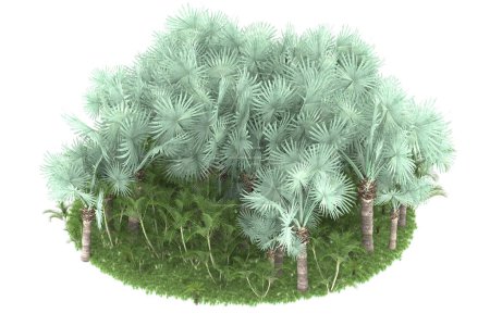 Photo for Tropical forest isolated on background. 3d rendering - illustration - Royalty Free Image