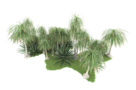 Foto de Isla de palmeras aisladas sobre fondo blanco. representación 3d - ilustración - Imagen libre de derechos