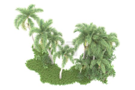 Téléchargez les photos : Île de palmiers isolés sur fond blanc. rendu 3d - illustration - en image libre de droit