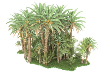 Foto de Isla de palmeras aisladas sobre fondo blanco. representación 3d - ilustración - Imagen libre de derechos