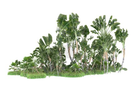 Photo for Island of palms trees isolated on white background. 3d rendering - illustration - Royalty Free Image