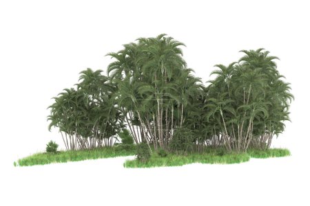 Téléchargez les photos : 3d rendu d'un arbre vert isolé sur fond blanc - en image libre de droit