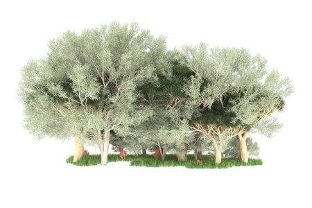 Téléchargez les photos : 3d rendu d'un arbre vert isolé sur fond blanc - en image libre de droit