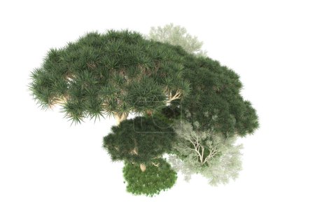 Foto de Representación 3d de árboles verdes aislados sobre fondo blanco - Imagen libre de derechos