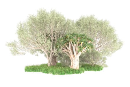 Foto de Representación 3d de árboles verdes aislados sobre fondo blanco - Imagen libre de derechos