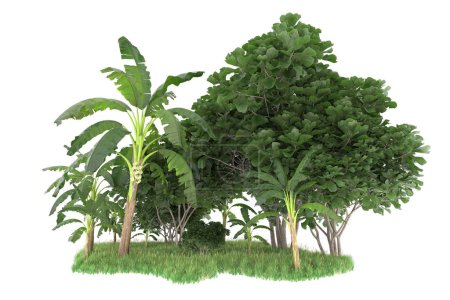Téléchargez les photos : Palmiers sur champ d'herbe isolé en arrière-plan. rendu 3d - illustration - en image libre de droit