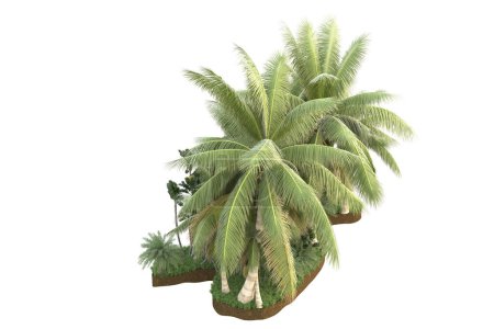 Photo for Palm trees on field of grass isolated on background. 3d rendering - illustration - Royalty Free Image