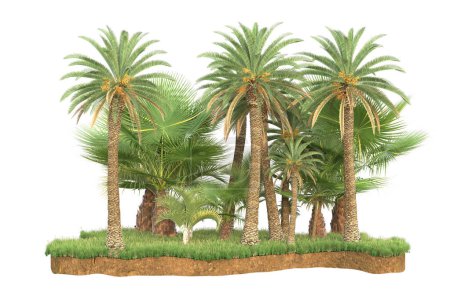 Téléchargez les photos : Palmiers sur champ d'herbe isolé en arrière-plan. rendu 3d - illustration - en image libre de droit