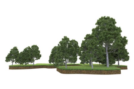 Photo for 3d rendering of a green trees isolated on white background - Royalty Free Image
