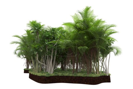 Photo for Island of palms trees isolated on white background. 3d rendering - illustration - Royalty Free Image