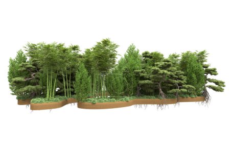 Foto de Isla con árboles aislados sobre fondo blanco. representación 3d - ilustración - Imagen libre de derechos