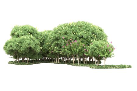 Téléchargez les photos : Île avec des arbres isolés sur fond blanc. rendu 3d - illustration - en image libre de droit