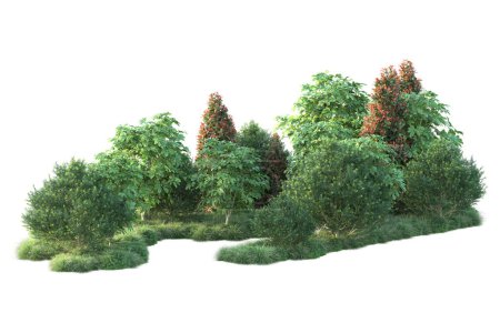 Téléchargez les photos : Feuillage d'automne, arbres isolés sur fond blanc, illustration 3d - en image libre de droit