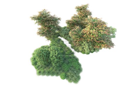 Foto de 3d ilustración de árboles forestales con hojas verdes, flora del parque aislada sobre fondo blanco - Imagen libre de derechos