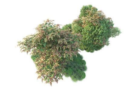 Téléchargez les photos : Illustration 3D d'arbres forestiers à feuilles vertes, flore du parc isolée sur fond blanc - en image libre de droit