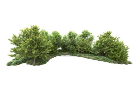 Foto de Árboles de verano verdes realistas aislados sobre fondo blanco para espacio de copia - Imagen libre de derechos
