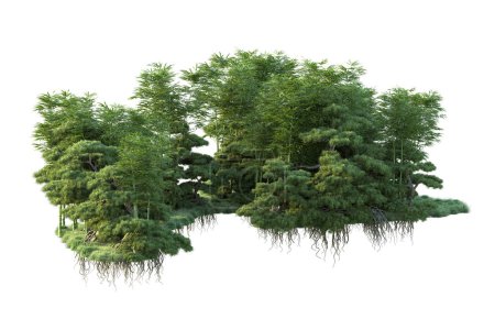 Photo for Forest isolated. Image useful for banners and posters or photo manipulations. 3d rendering - illustration - Royalty Free Image