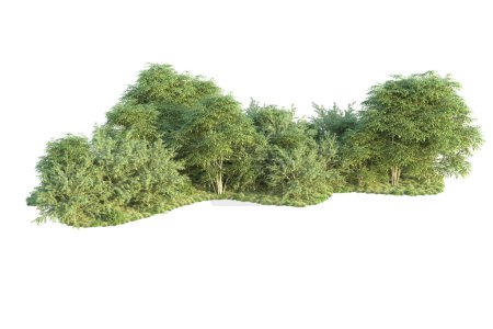 Photo for Forest isolated. Image useful for banners and posters or photo manipulations. 3d rendering - illustration - Royalty Free Image