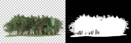 Téléchargez les photos : Forêt tropicale sur fond avec masque. rendu 3d - illustration - en image libre de droit