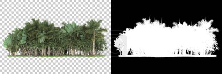 Foto de Bosque tropical sobre fondo con máscara. representación 3d - ilustración - Imagen libre de derechos