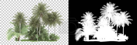 Foto de Bosque tropical sobre fondo con máscara. representación 3d - ilustración - Imagen libre de derechos