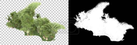 Photo for Tropical forest on background with mask. 3d rendering - illustration - Royalty Free Image