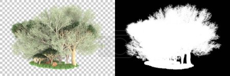 Téléchargez les photos : Concept de flore naturelle, arbres réalistes isolés sur fond blanc pour l'espace de copie - en image libre de droit