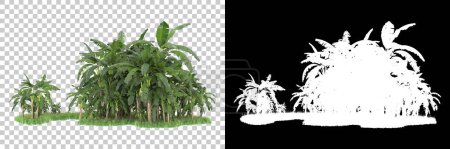 Foto de Concepto de flora natural, árboles realistas aislados sobre fondo blanco para espacio de copia - Imagen libre de derechos