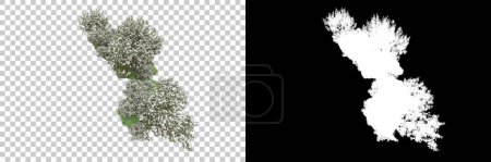 Photo for Trees isolated on background with mask. 3d rendering - illustration - Royalty Free Image