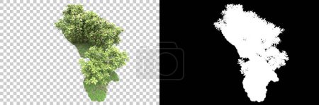 Photo for Trees isolated on background with mask. 3d rendering - illustration - Royalty Free Image