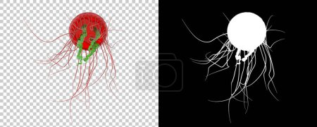 Photo for Jellyfish isolated on background. 3d rendering - illustration - Royalty Free Image